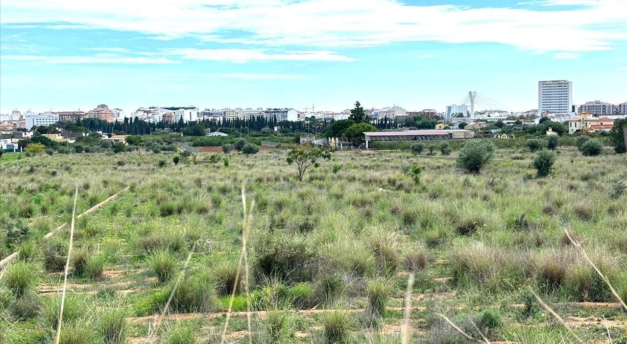 Suelo En Venta En Xx Partida Mestrets, Castellón De La Planacastelló De La Plana