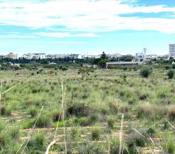 Suelo En Venta En Xx Partida Mestrets, Castellón De La Planacastelló De La Plana