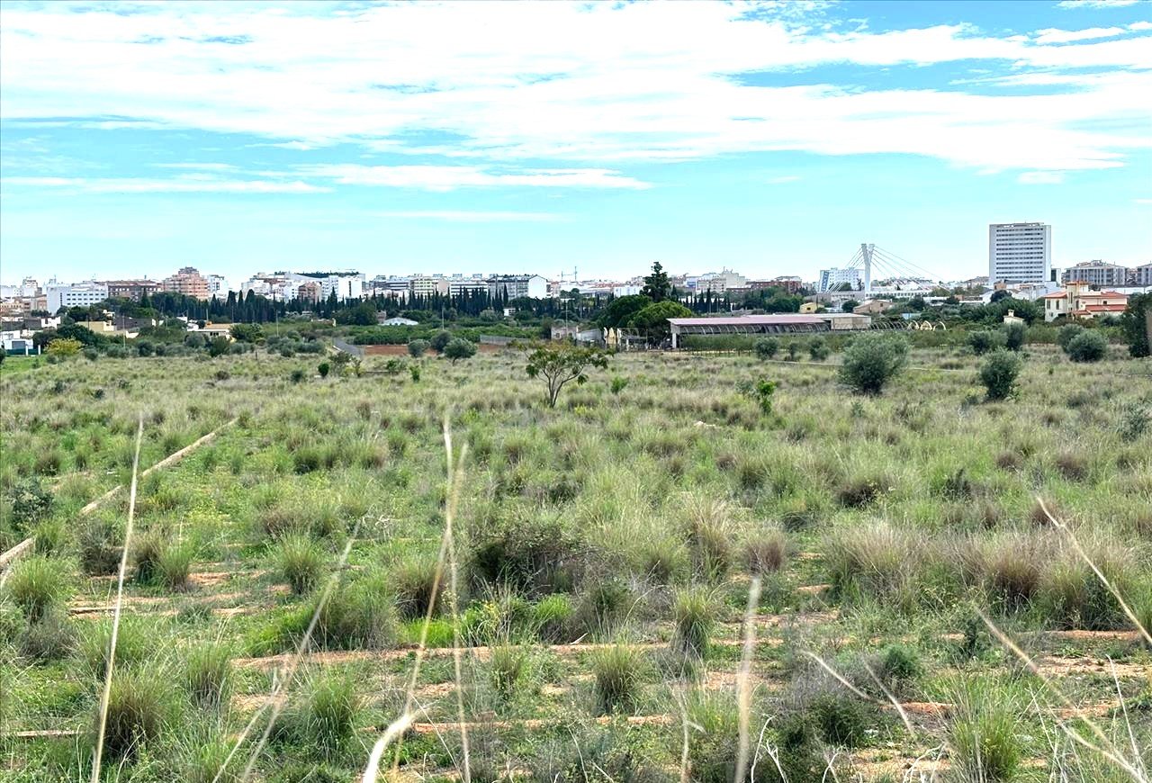 Suelo En Venta En Xx Partida Mestrets, Castellón De La Planacastelló De La Plana