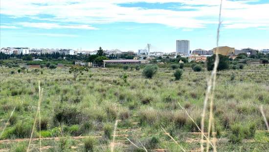 Suelo En Venta En Xx Partida Mestrets, Castellón De La Planacastelló De La Plana