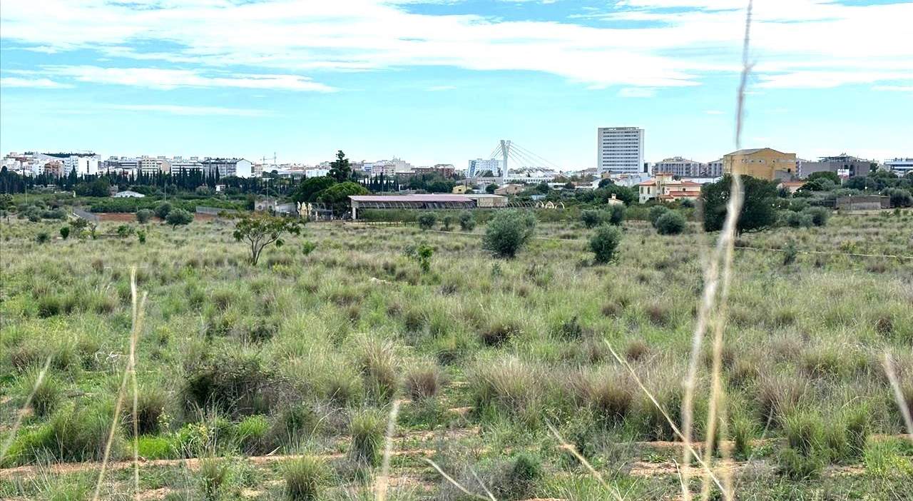 Suelo En Venta En Xx Partida Mestrets, Castellón De La Planacastelló De La Plana