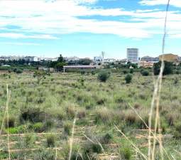Suelo En Venta En Xx Partida Mestrets, Castellón De La Planacastelló De La Plana