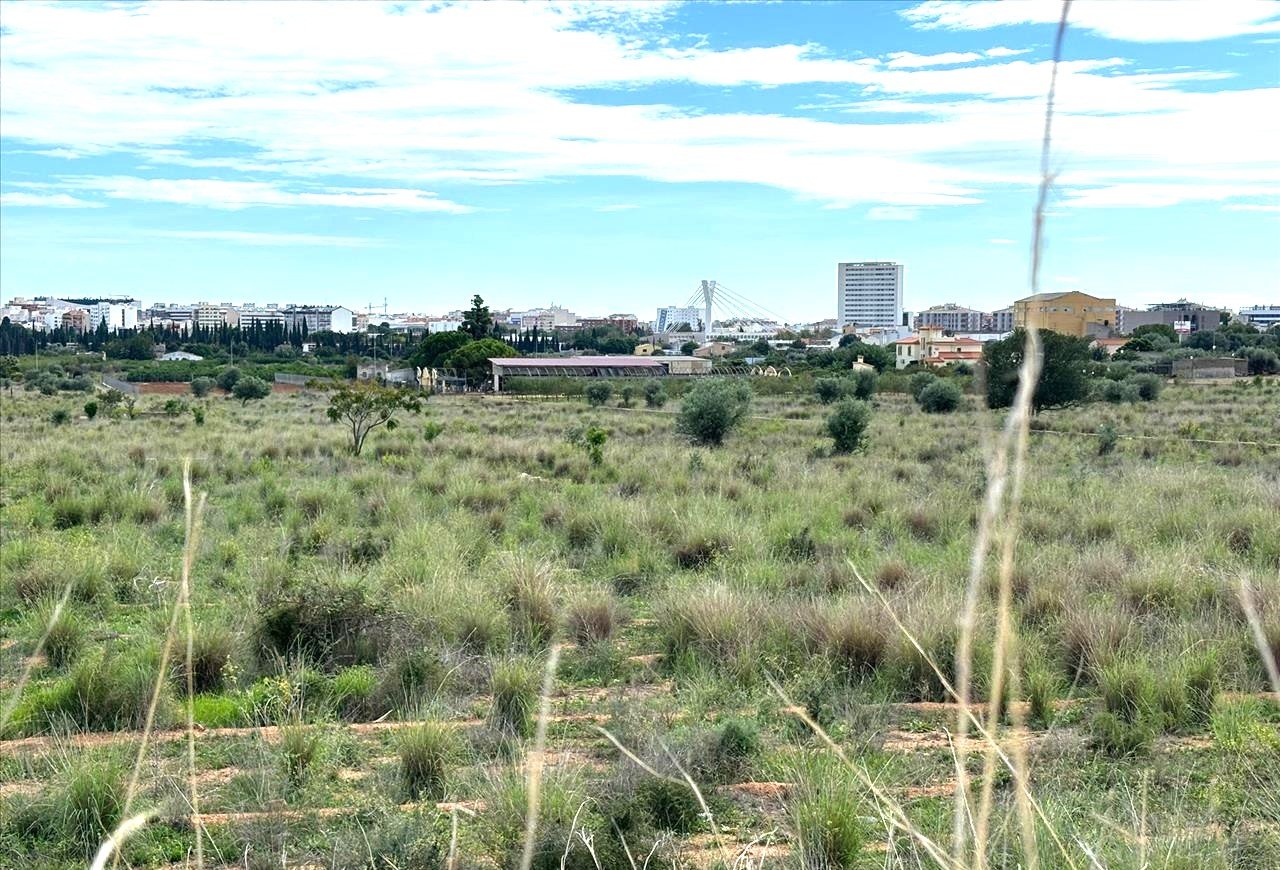 Suelo En Venta En Xx Partida Mestrets, Castellón De La Planacastelló De La Plana