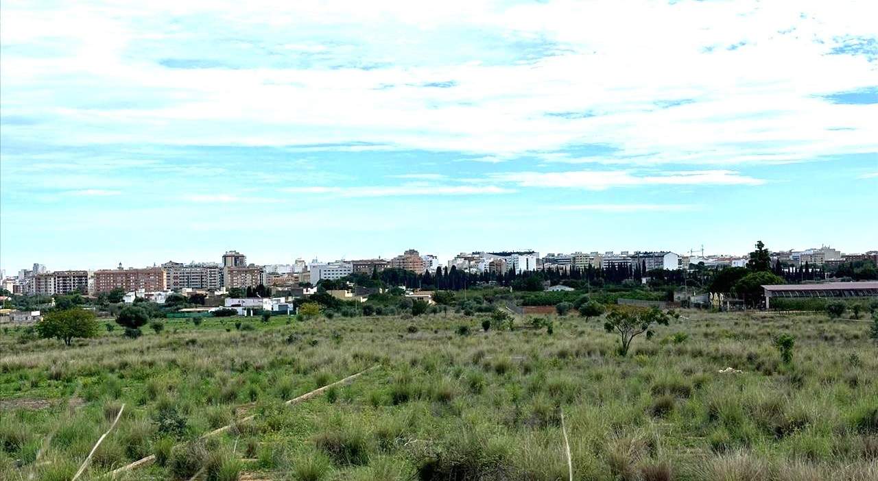 Suelo En Venta En Xx Partida Mestrets, Castellón De La Planacastelló De La Plana