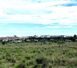 Suelo En Venta En Xx Partida Mestrets, Castellón De La Planacastelló De La Plana