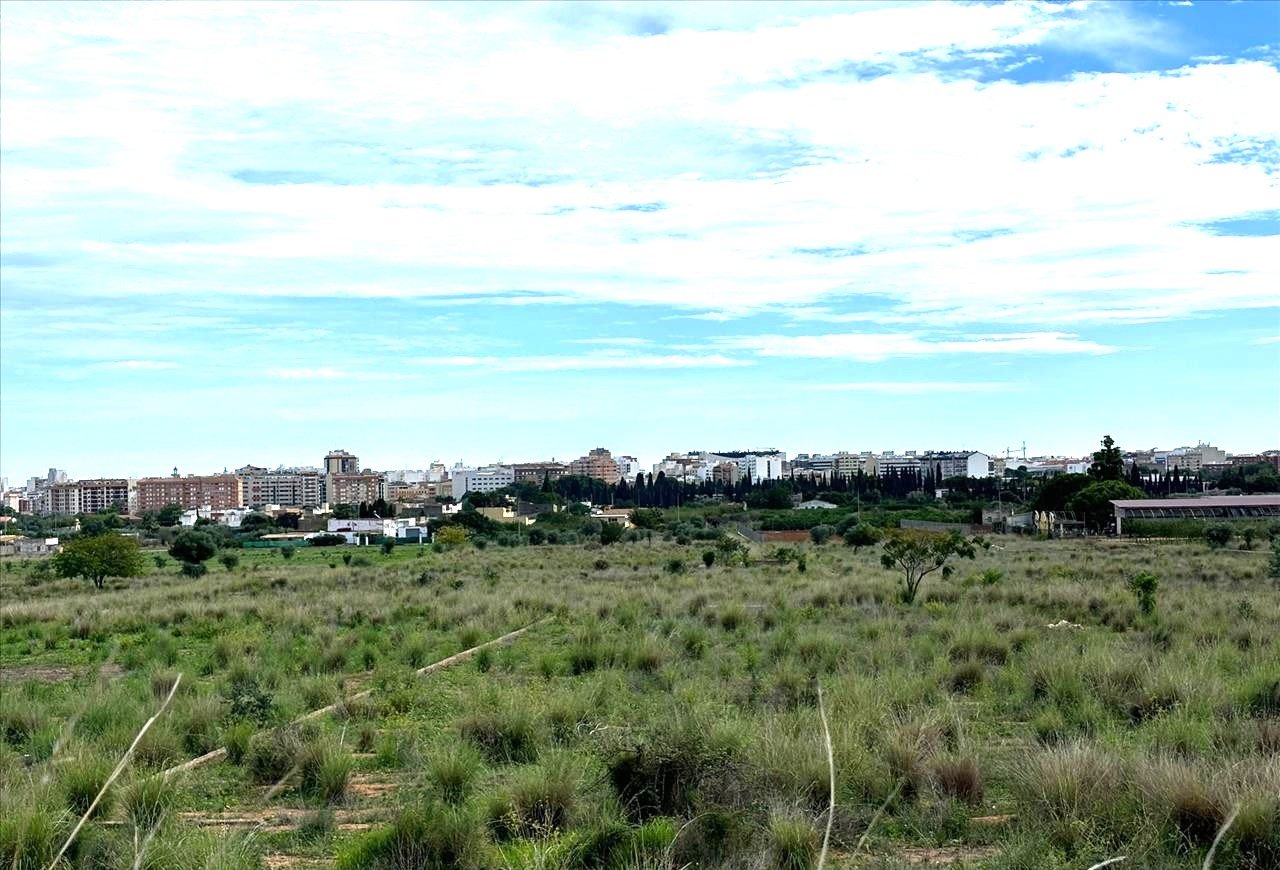Suelo En Venta En Xx Partida Mestrets, Castellón De La Planacastelló De La Plana