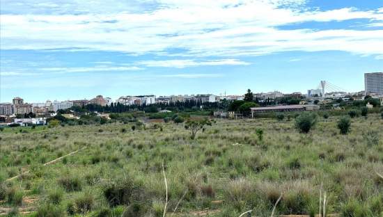 Suelo En Venta En Xx Partida Mestrets, Castellón De La Planacastelló De La Plana