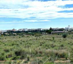 Suelo En Venta En Xx Partida Mestrets, Castellón De La Planacastelló De La Plana