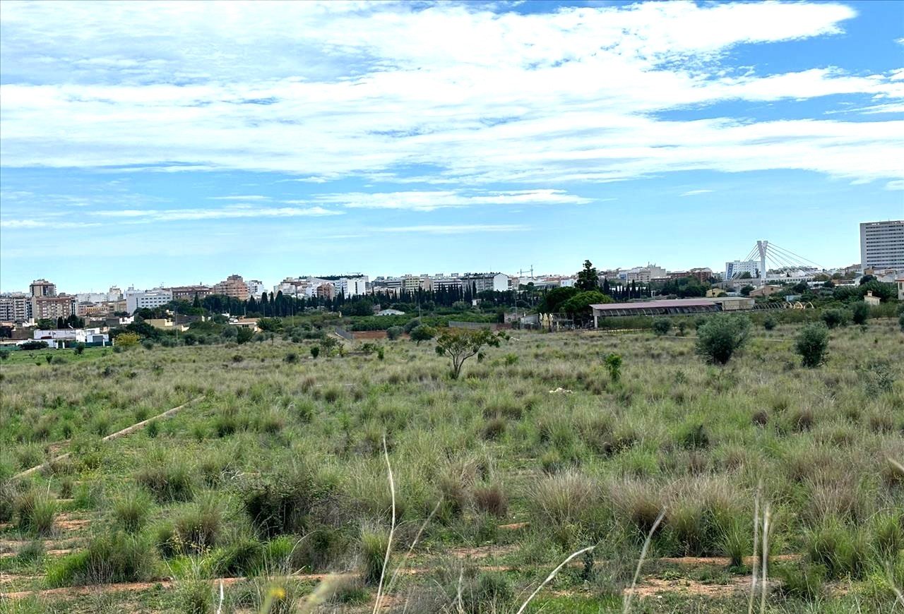 Suelo En Venta En Xx Partida Mestrets, Castellón De La Planacastelló De La Plana