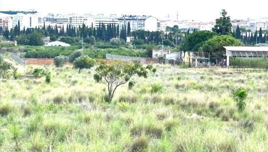 Suelo En Venta En Xx Partida Mestrets, Castellón De La Planacastelló De La Plana