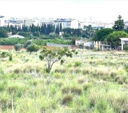 Suelo En Venta En Xx Partida Mestrets, Castellón De La Planacastelló De La Plana