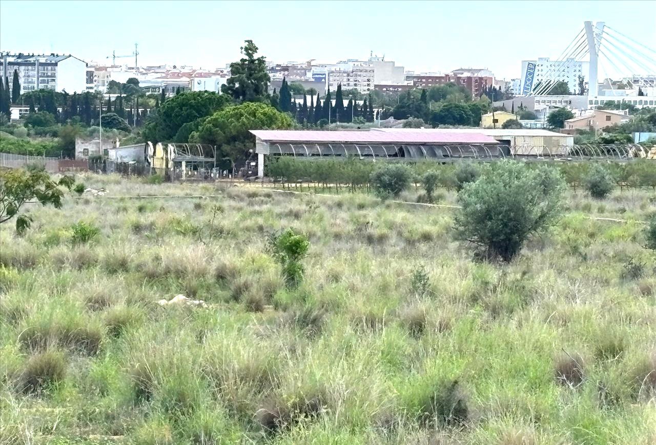 Suelo En Venta En Xx Partida Mestrets, Castellón De La Planacastelló De La Plana