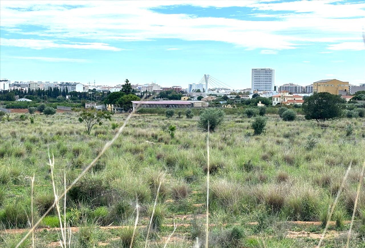 Suelo En Venta En Xx Partida Mestrets, Castellón De La Planacastelló De La Plana