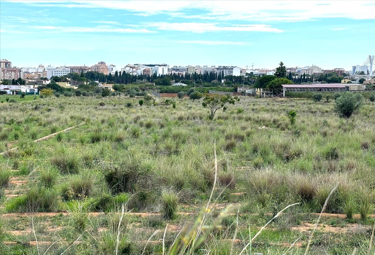 Suelo En Venta En Xx Partida Mestrets, Castellón De La Planacastelló De La Plana