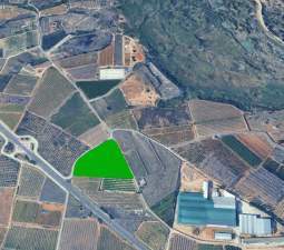 Terreno situado en Catadau