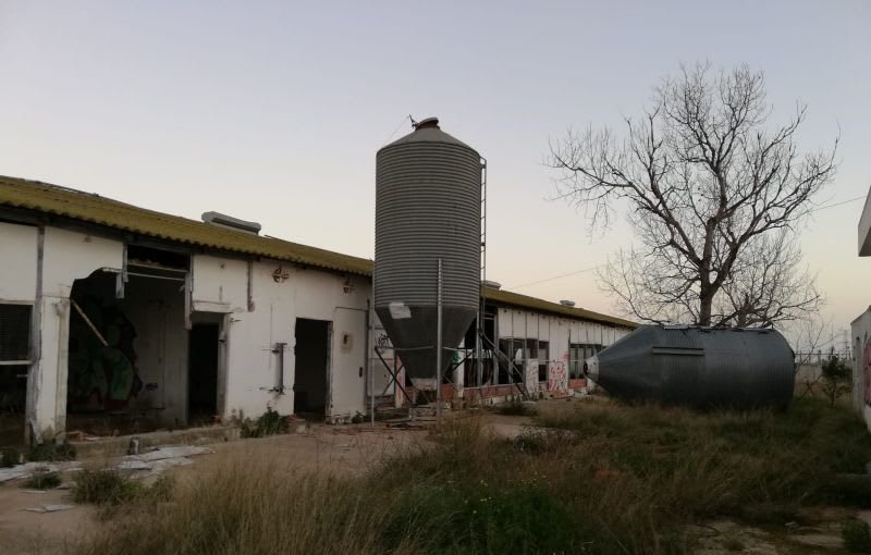 Terreno situado en Catadau