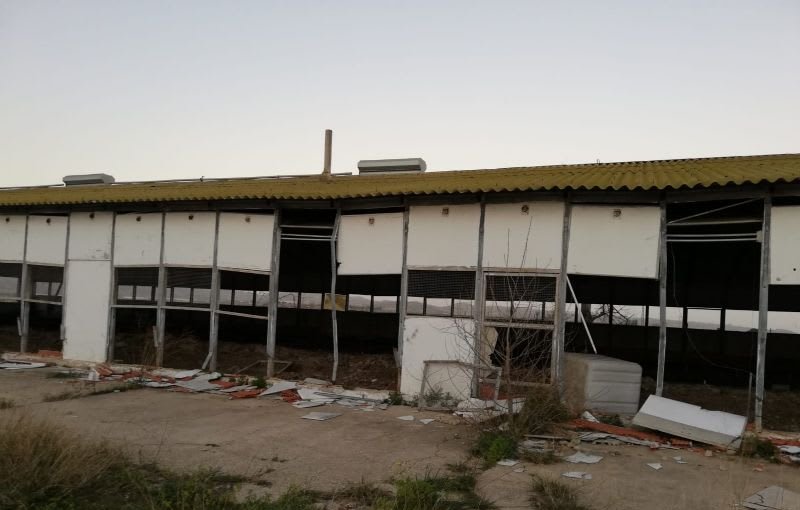 Terreno situado en Catadau