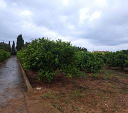 Terreno Rústico en venta en Vinaroz, Castellón