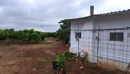 Terreno Rústico en venta en Vinaroz, Castellón