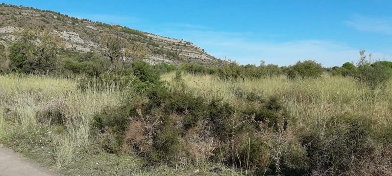 Compra suelo urbanizable residencial por 52600 de 15800m en c4parcelaorpesa en Oropesa del MarOrpesa