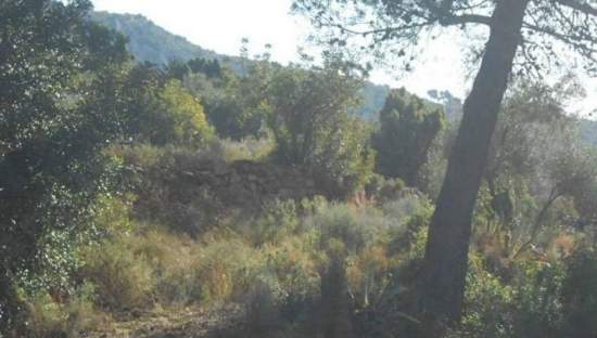 Urbanizable Programado en venta  en Calle Cantereres Les Benicasim Castelln