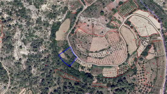 Compra finca rstica en calle ptda real pol 45 Bicorp por 1000 con 1394m