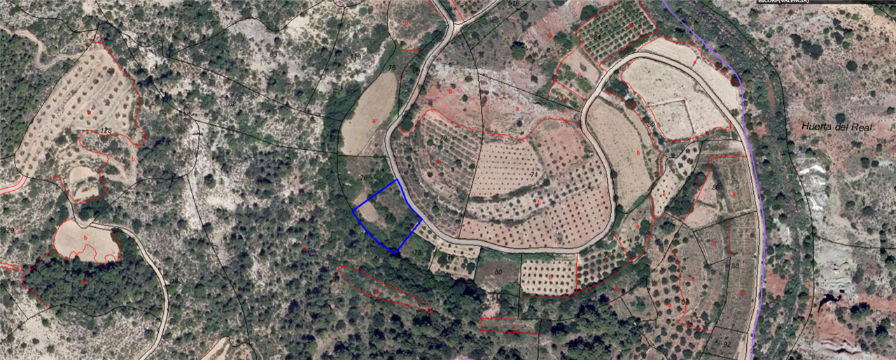 Compra finca rstica en calle ptda real pol 45 Bicorp por 1000 con 1394m