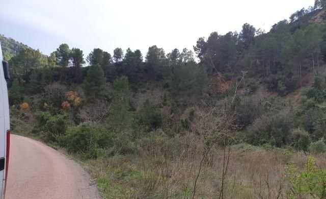 Compra finca rstica en calle ptda real pol 45 Bicorp por 1000 con 1394m