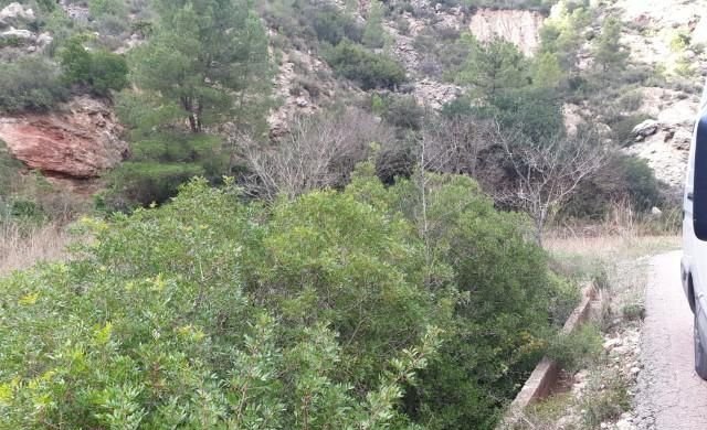 Compra finca rstica en calle ptda real pol 45 Bicorp por 1000 con 1394m