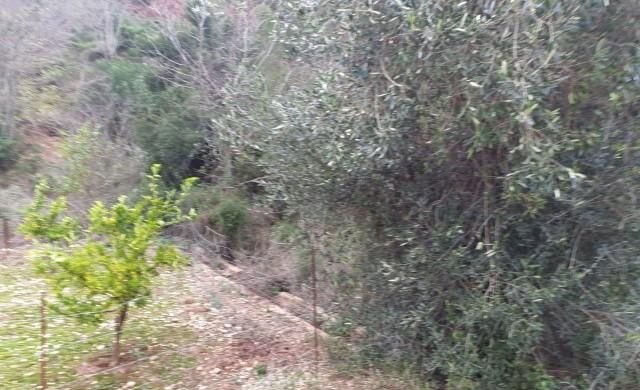 Compra finca rstica en calle ptda real pol 45 Bicorp por 1000 con 1394m