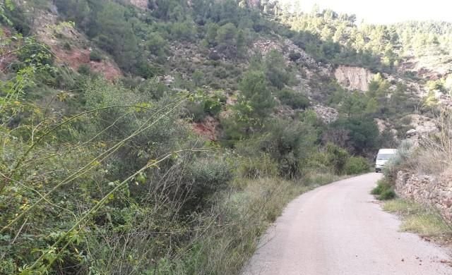 Compra finca rstica en calle ptda real pol 45 Bicorp por 1000 con 1394m