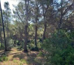 Suelo no urbanizable en PT Sector R-6A UE2 - Oropesa del Mar -