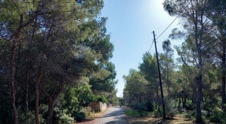 Suelo no urbanizable en PT Sector R-6A UE2 - Oropesa del Mar -