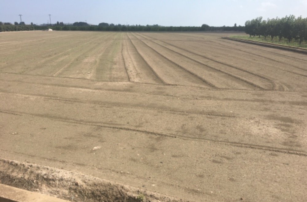 Suelo Rústico Sollana