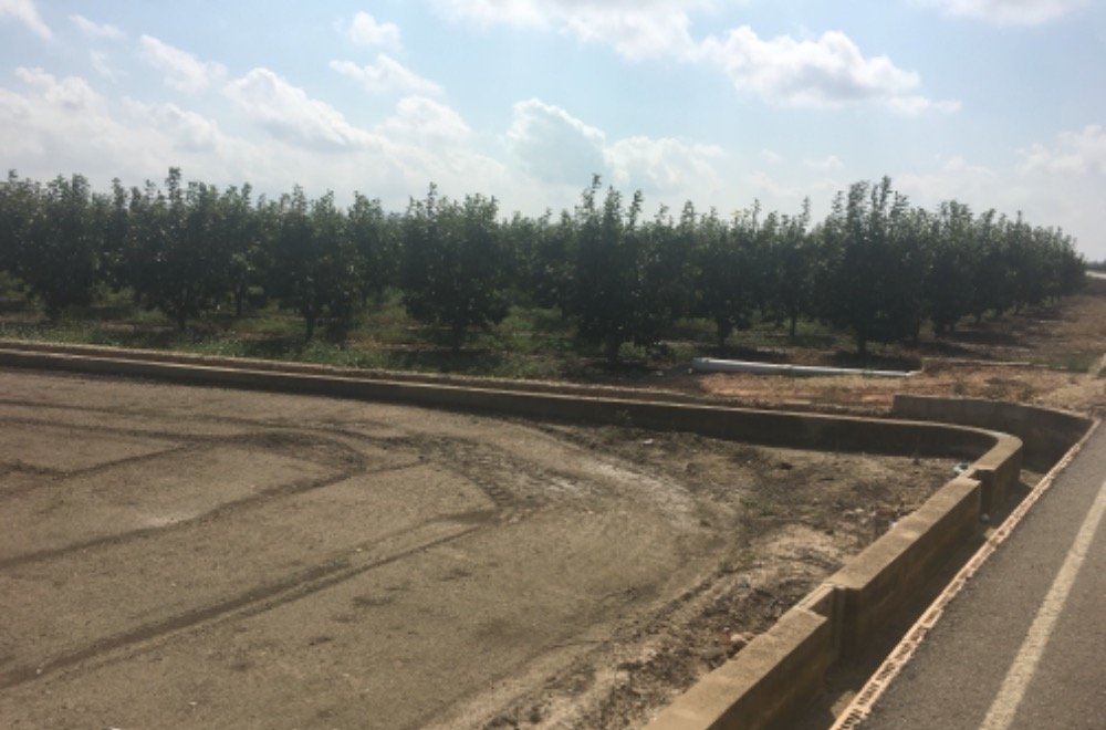 Suelo Rústico Sollana