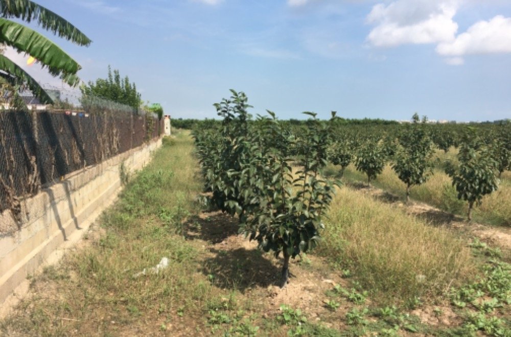 Suelo Rústico Sollana