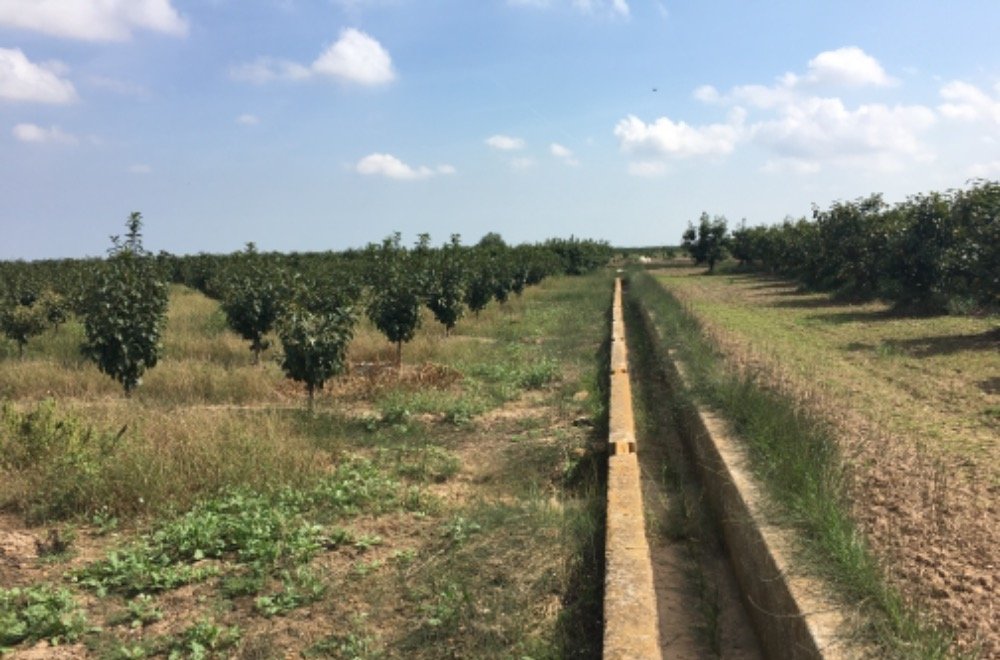 Suelo Rústico Sollana