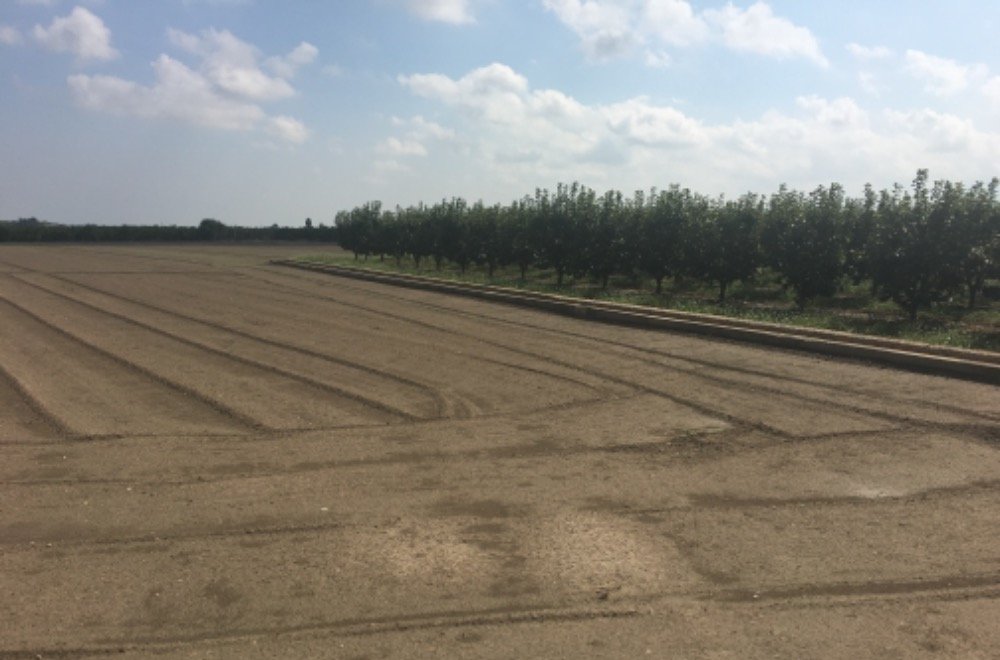 Suelo Rústico Sollana