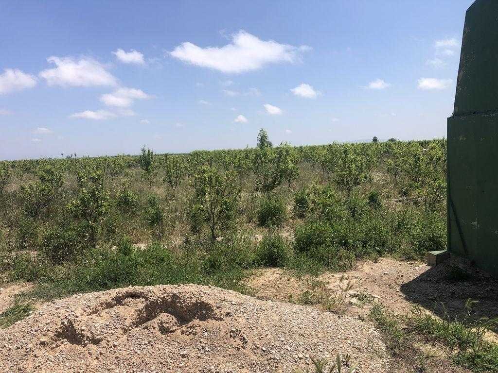 Suelo Rústico Sollana