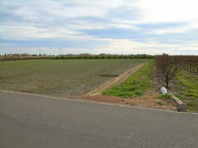 Suelo Rústico Sollana