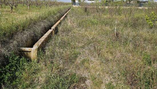 Suelo Rústico Sollana