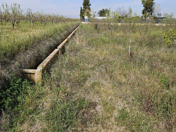 Suelo Rústico Sollana