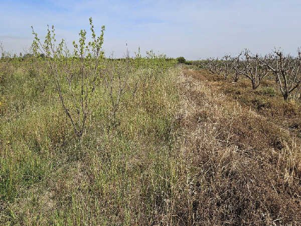 Suelo Rústico Sollana