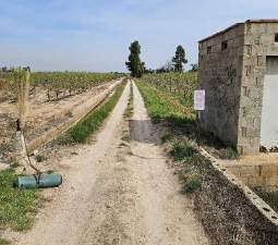 Suelo Rústico Sollana