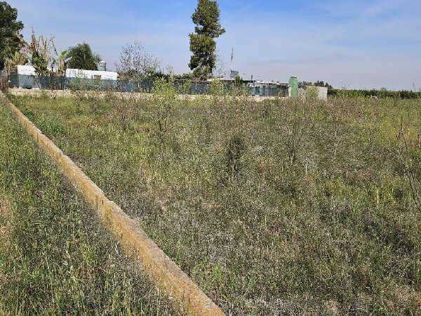 Suelo Rústico Sollana