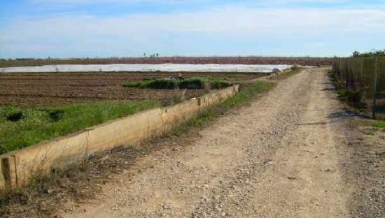 Suelo Rústico Sollana