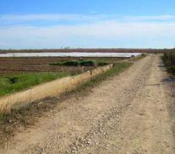 Suelo Rústico Sollana