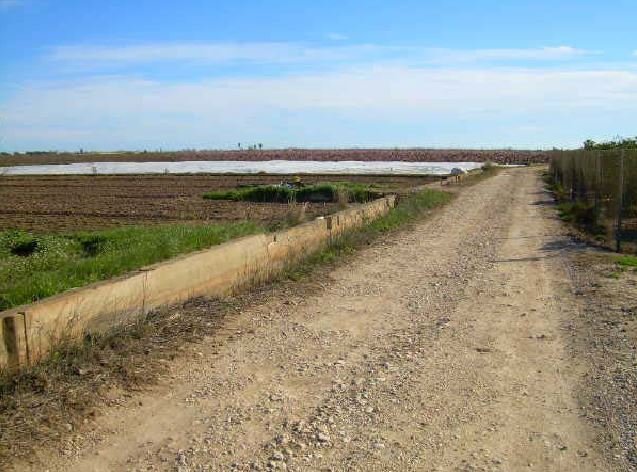 Suelo Rústico Sollana