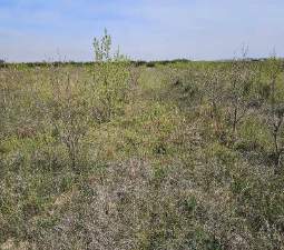 Suelo Rústico Sollana