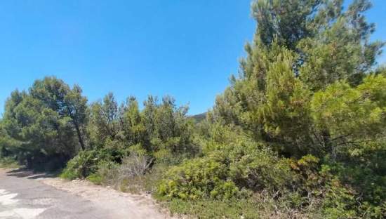 Suelo En Venta En El Pinar, Alcal? De Xivert
